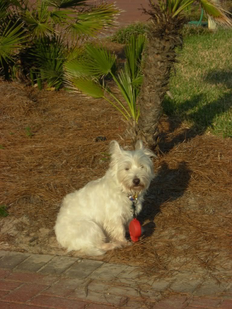 DSCN0040.jpg