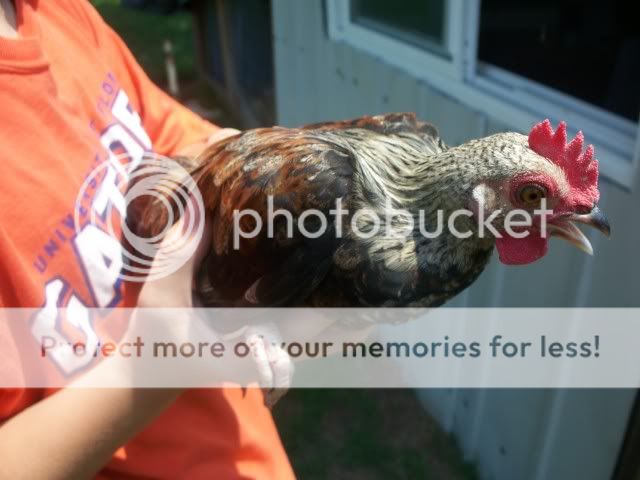 100_6546.jpg