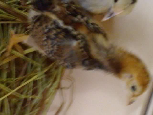 09-22-08_1627.jpg