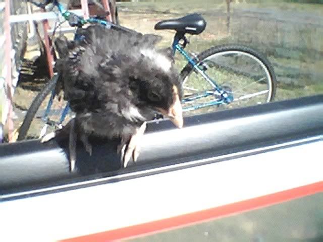Photo009.jpg