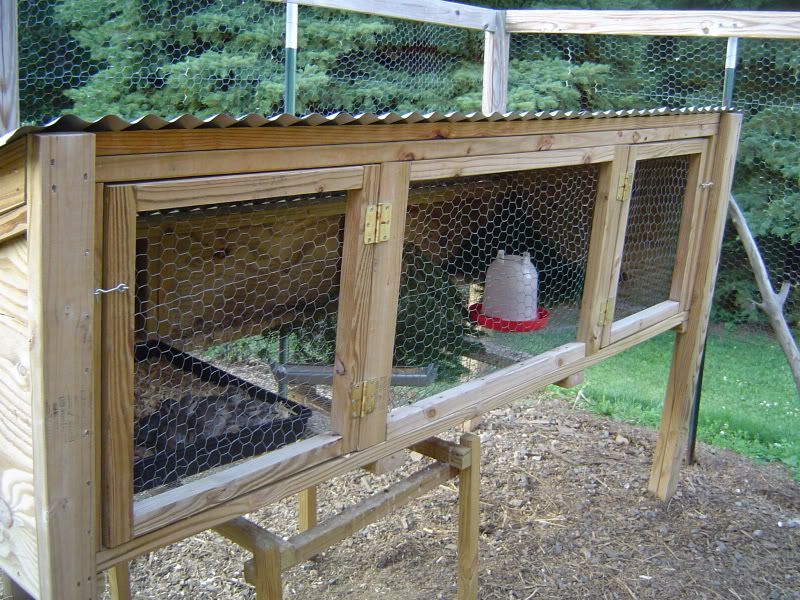 DucksChukar001.jpg