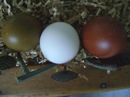 eggs-2.jpg
