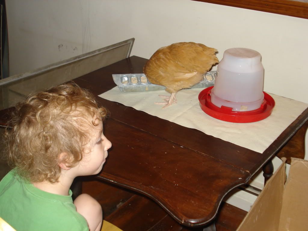 DSC04642.jpg
