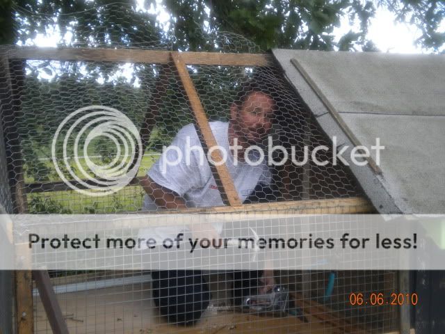 ChicksTakeII2010003.jpg
