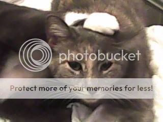 cleo.jpg