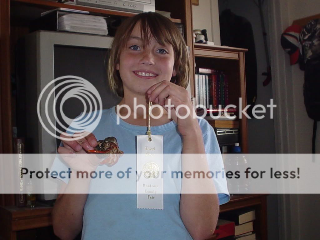 Fairpictures2007022.jpg