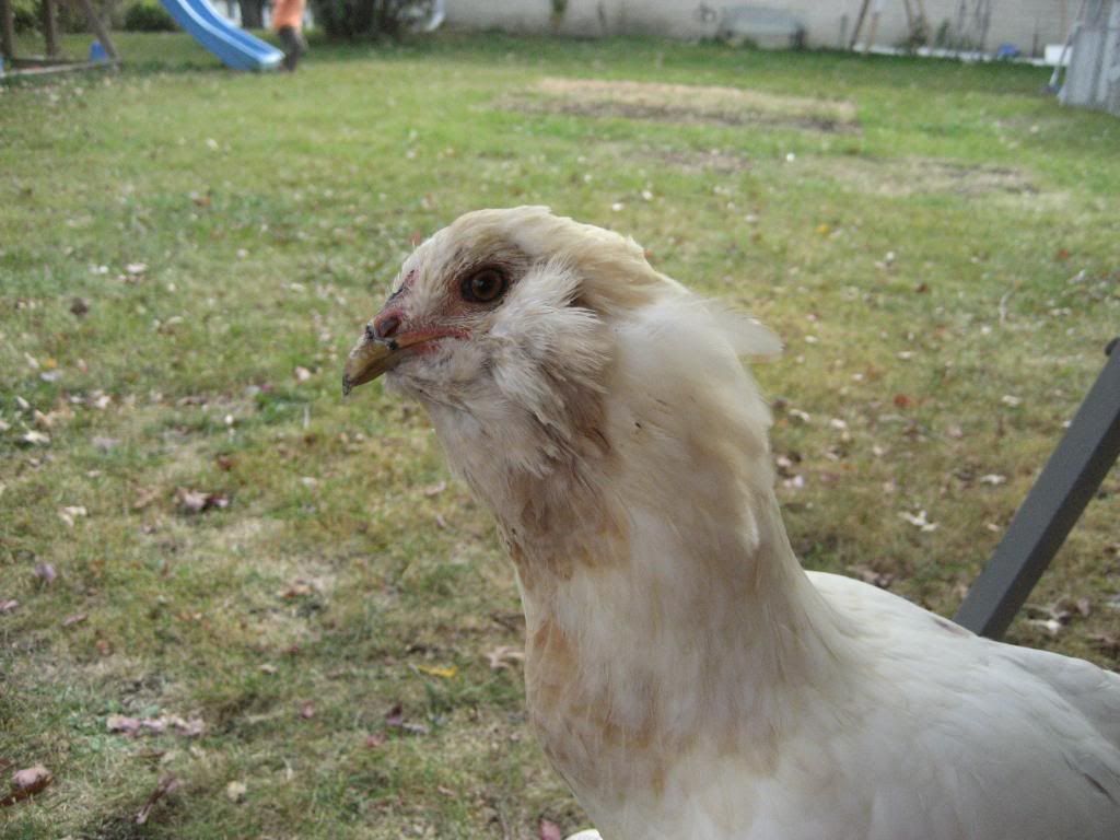 IMG_9604.jpg