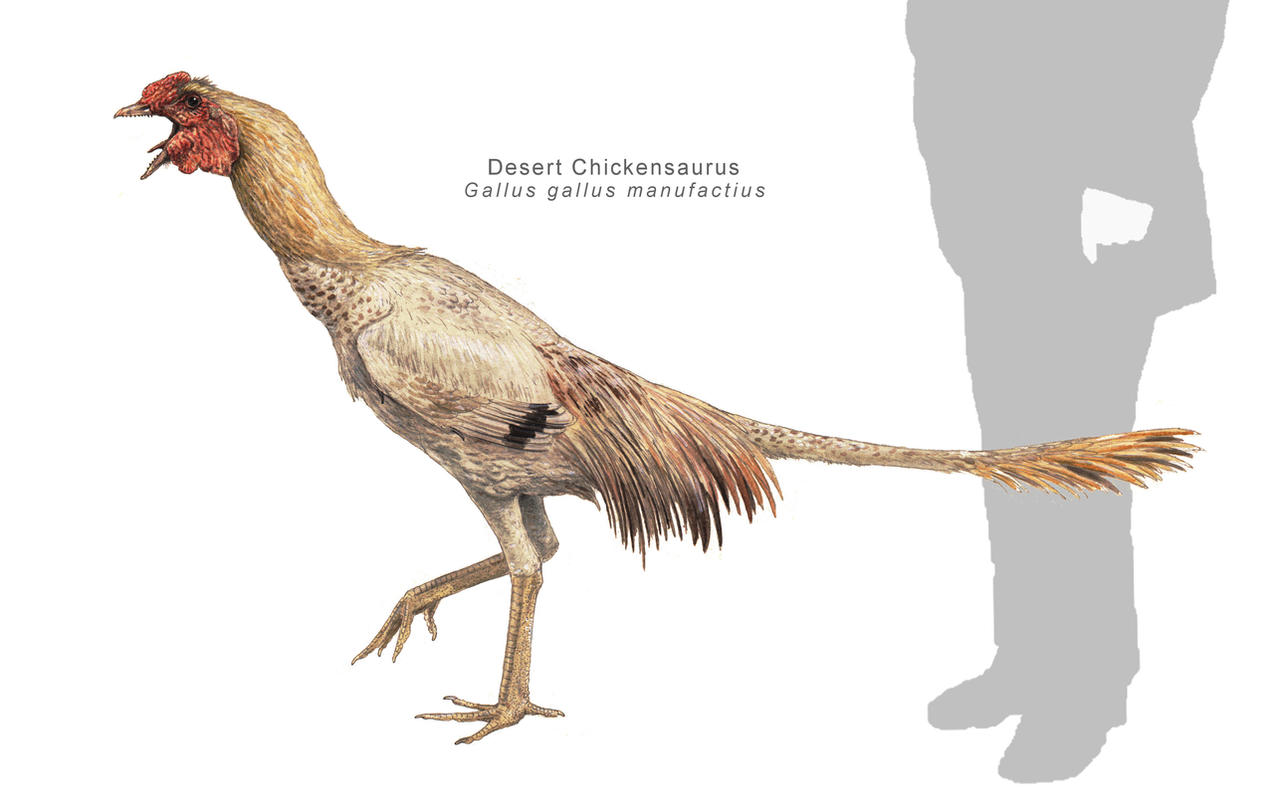 desert_chickensaur_by_hyrotrioskjan-d9638bn.jpg