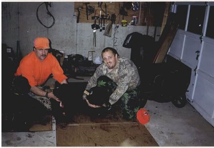1999bearseason.jpg