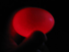 4626719374_bde28245b7_m.jpg