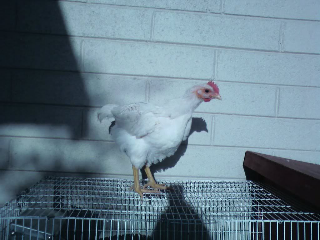 0505081745.jpg