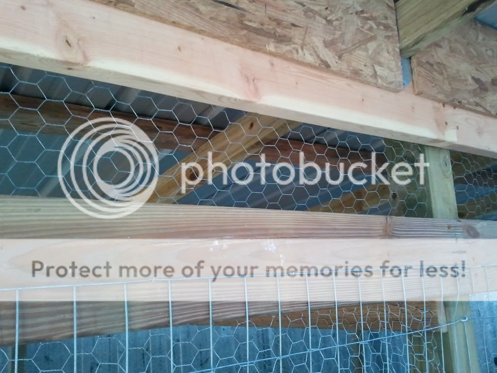 2011-03-11155342.jpg