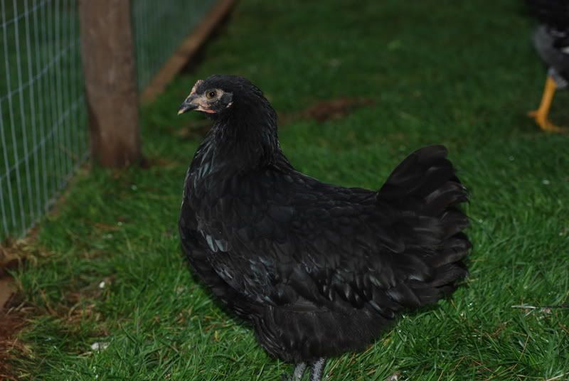 DSC_0402.jpg