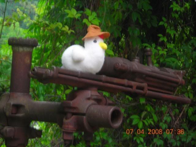 DSCN3542.jpg