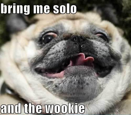 jabba-the-pug.jpg