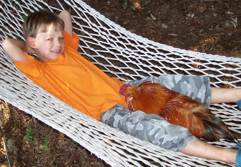 Oliverinthehammock.jpg