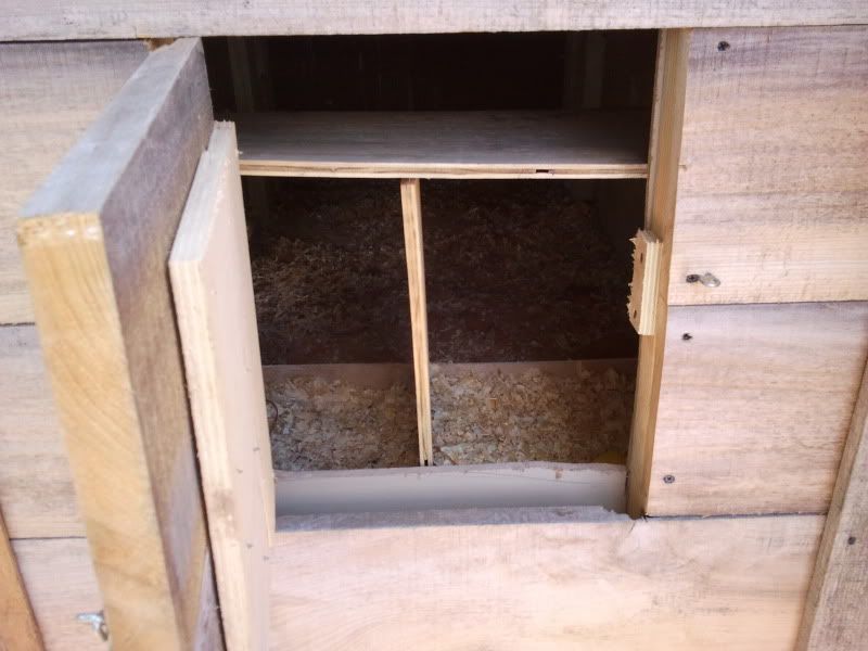 2011-06-25135156.jpg