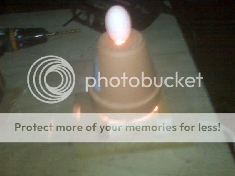IMG00255.jpg