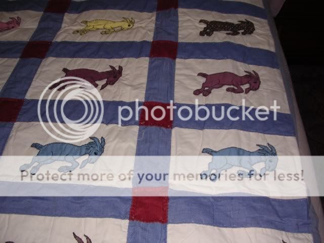 DSCN4647.jpg