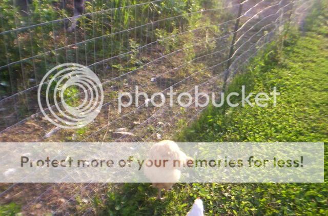 100_1494.jpg