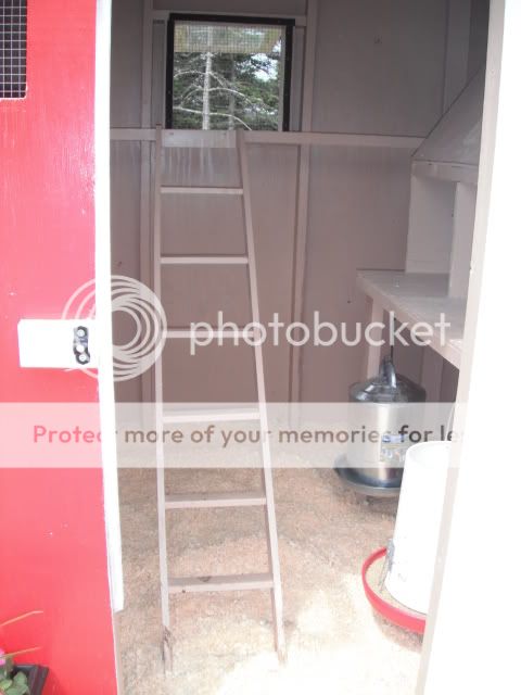 DSCF3926.jpg