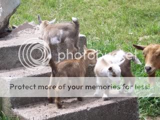 015-1.jpg