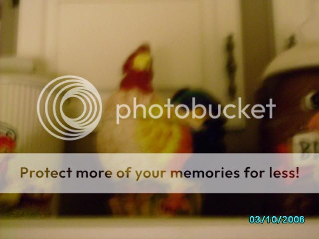 IMGP0076.jpg