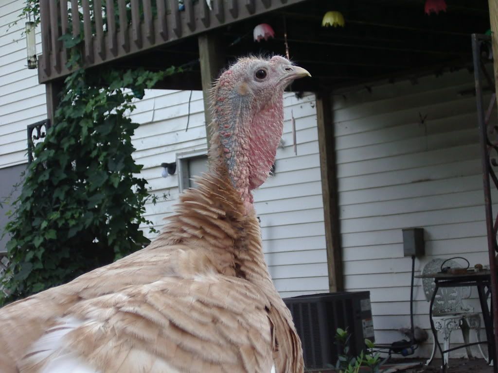 10-19-08033.jpg