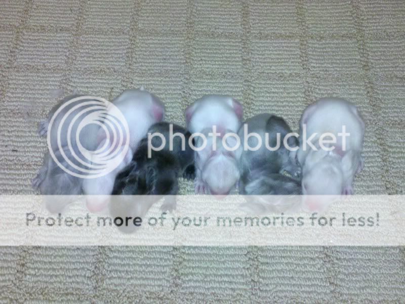 2011-08-22_19-05-31_738.jpg