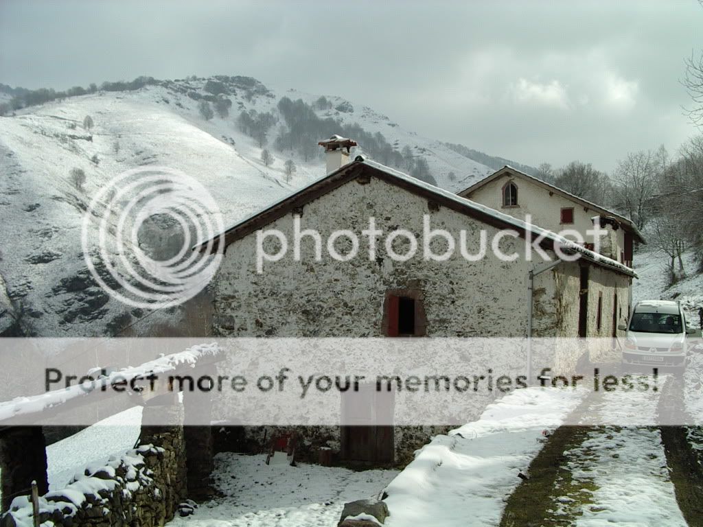 IMGP2141.jpg