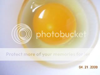 Fertile_Egg.jpg