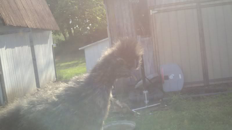 44933241_photobucket_41639_.jpg