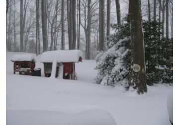 Snow020610.jpg
