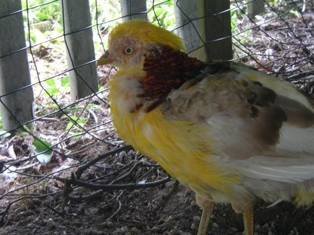 Picture026Small-2.jpg