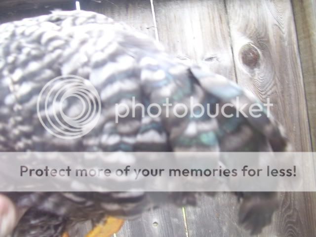 100_2894.jpg