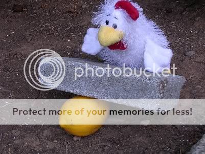 Lemon4.jpg
