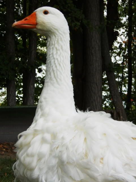 DSCN2542.jpg
