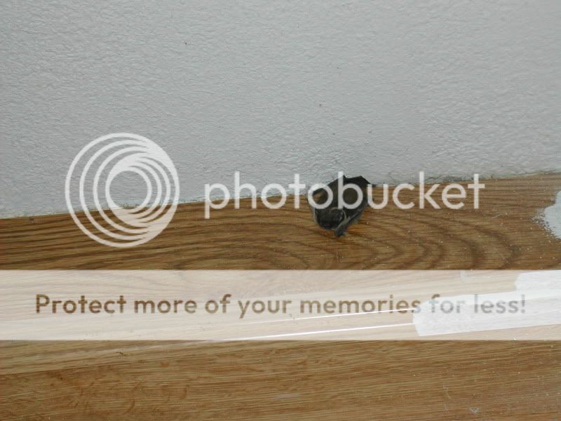 DSCN2699-1.jpg