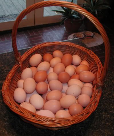 fresheggs.jpg
