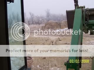 100_2763.jpg