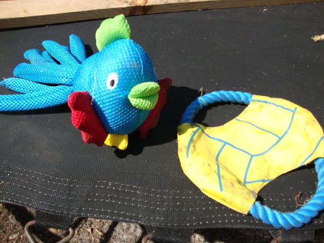DSC01259.jpg