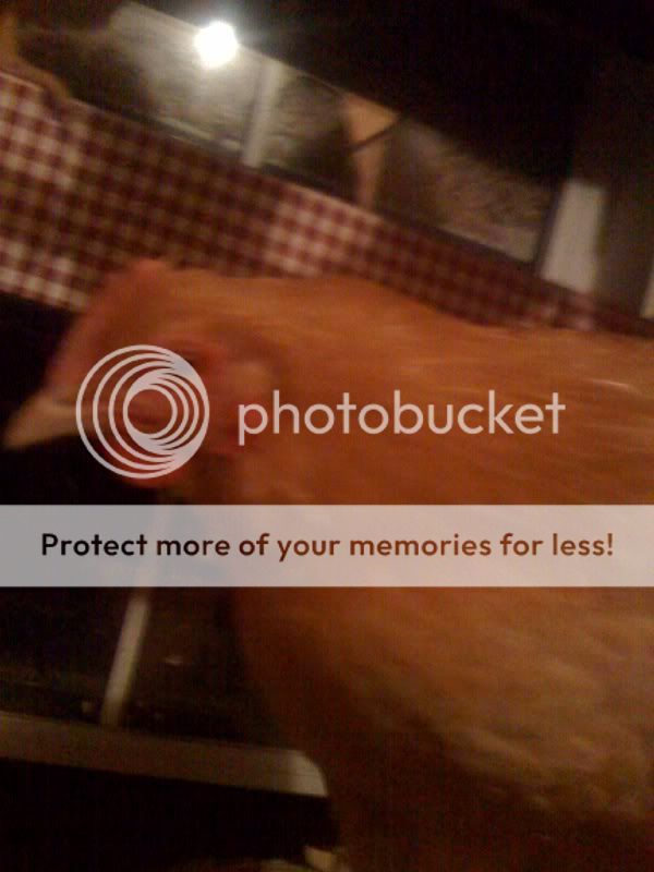photo30.jpg