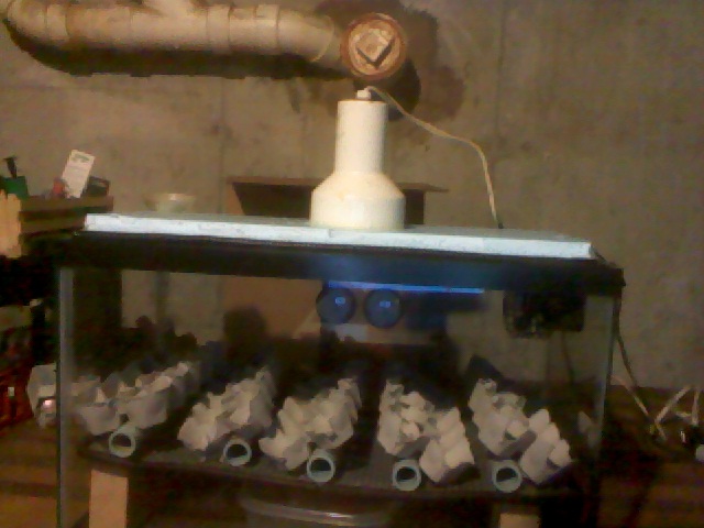 4400_120105-163454.jpg