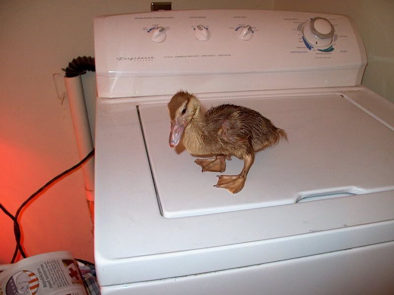 IM001169.jpg