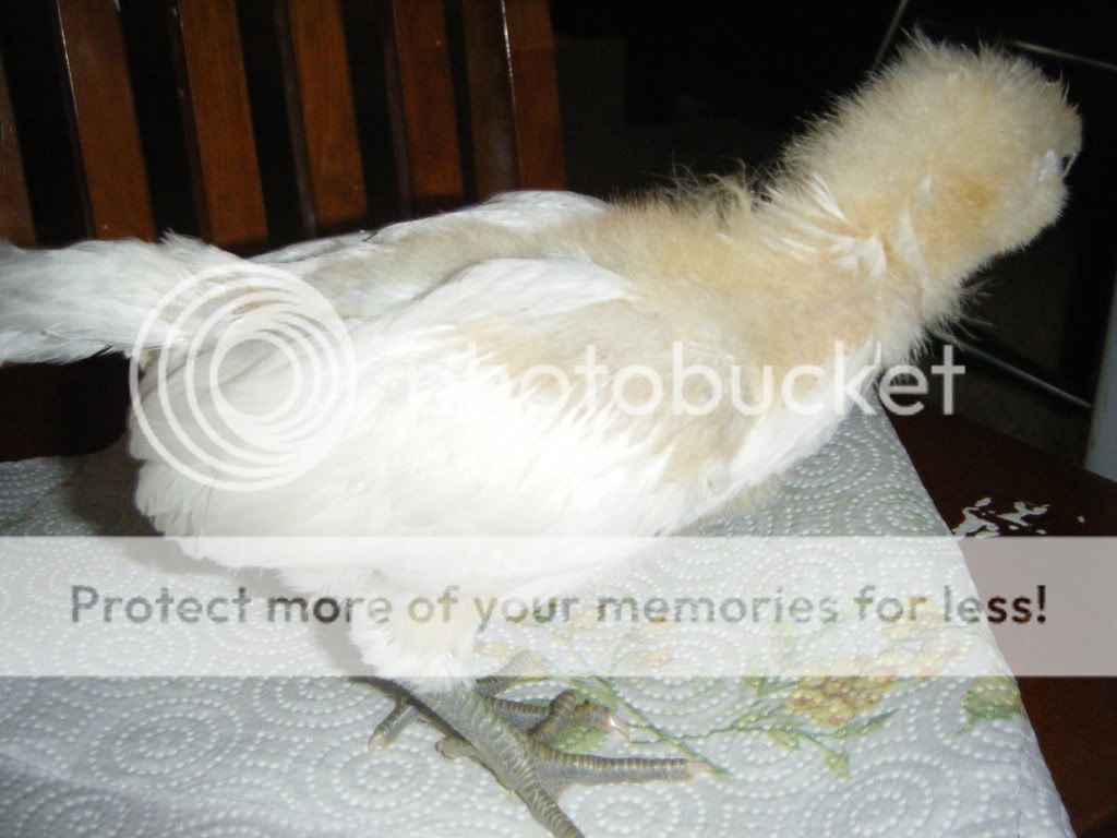 DSCF4750.jpg