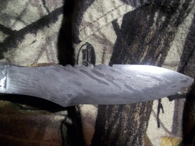 Picture238.jpg