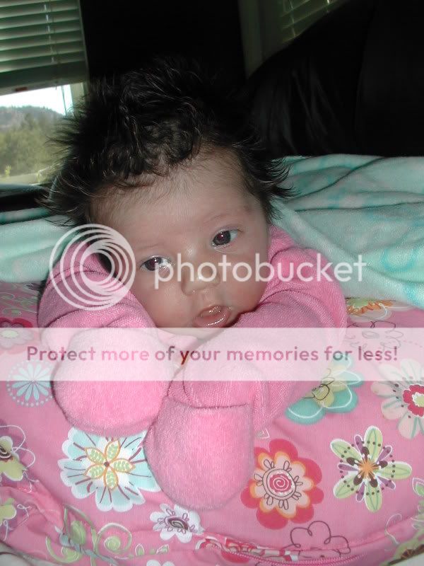 DSCN5580.jpg