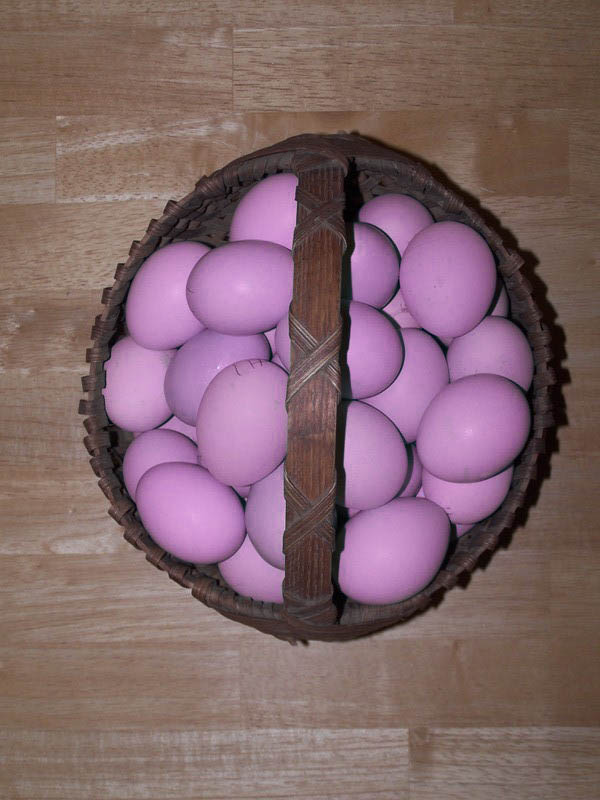 blueeggs2.jpg