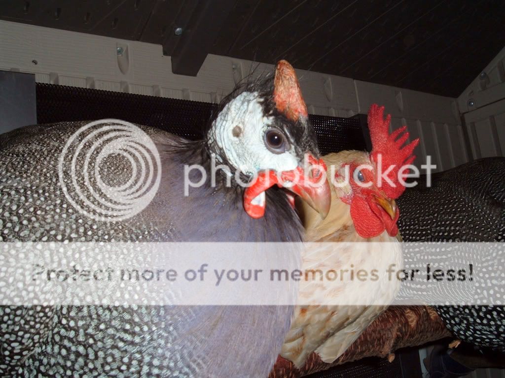 DSCF6873.jpg
