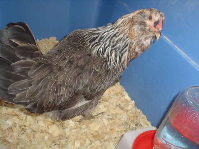 march2010019.jpg